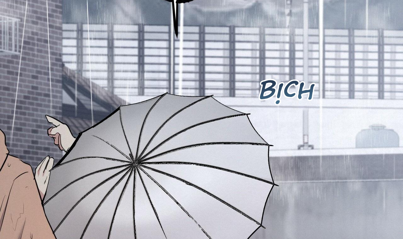 đàn thỏ của habibi chapter 34 234