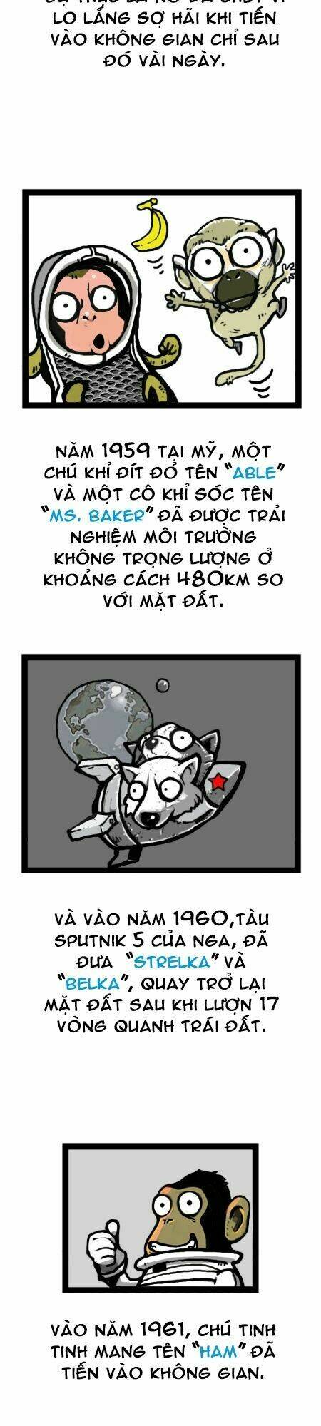 earth, human, and animal chapter 15 23