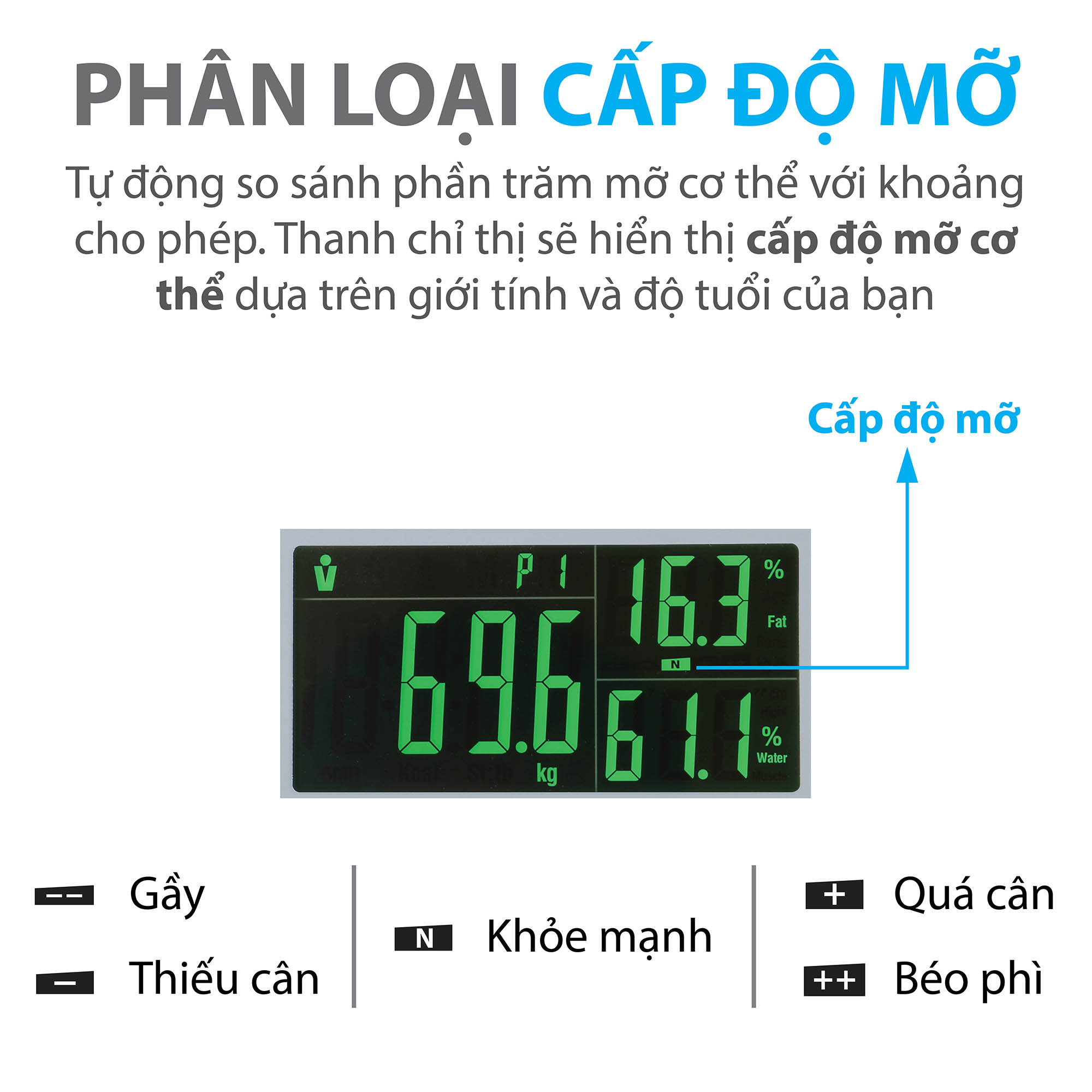 Cân sức khỏe điện tử thông minh Genky - phân tích cơ thể, theo dõi mỡ, cơ, nước, xương, calo, màn hình siêu rộng