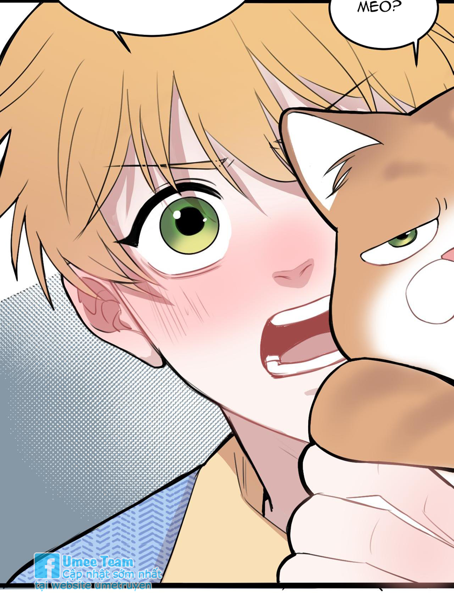 rốt cuộc bé mèo đang nghĩ gì ? chapter 11 64
