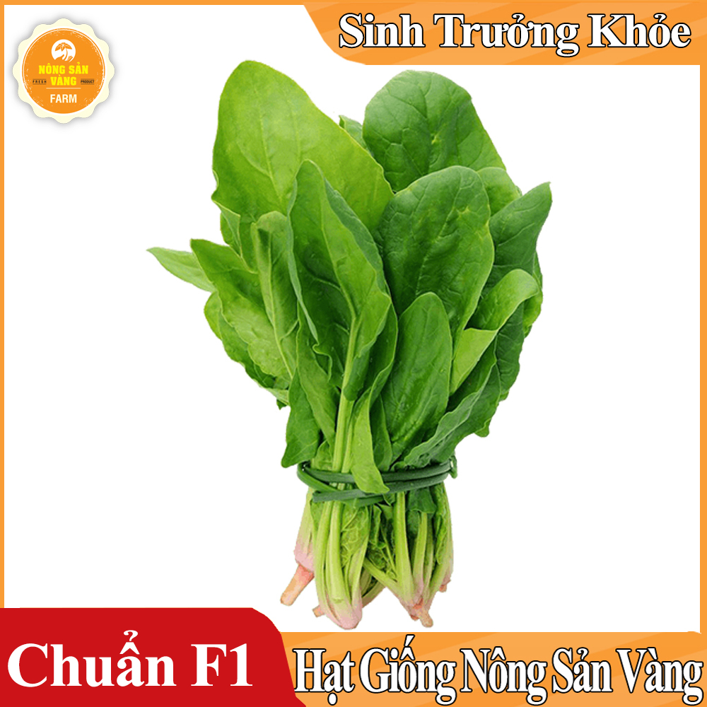 Hạt giống Cải Bó Xôi Chịu Nhiệt - Nông Sản Vàng