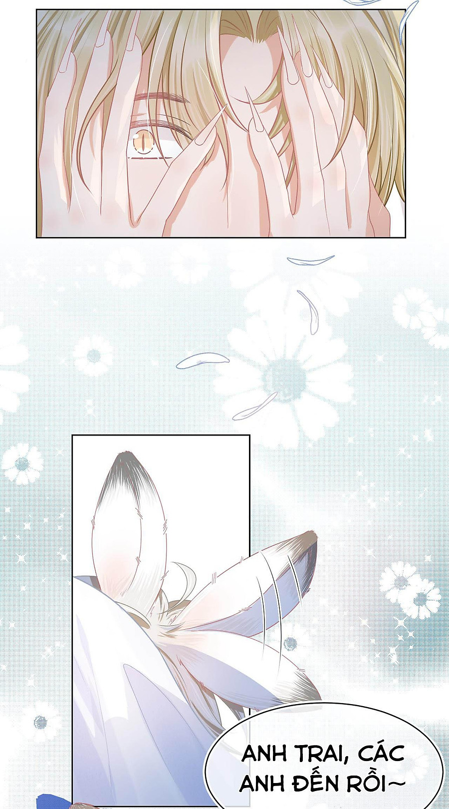 [ss2] một ngụm ăn cả thỏ con chapter 0 32