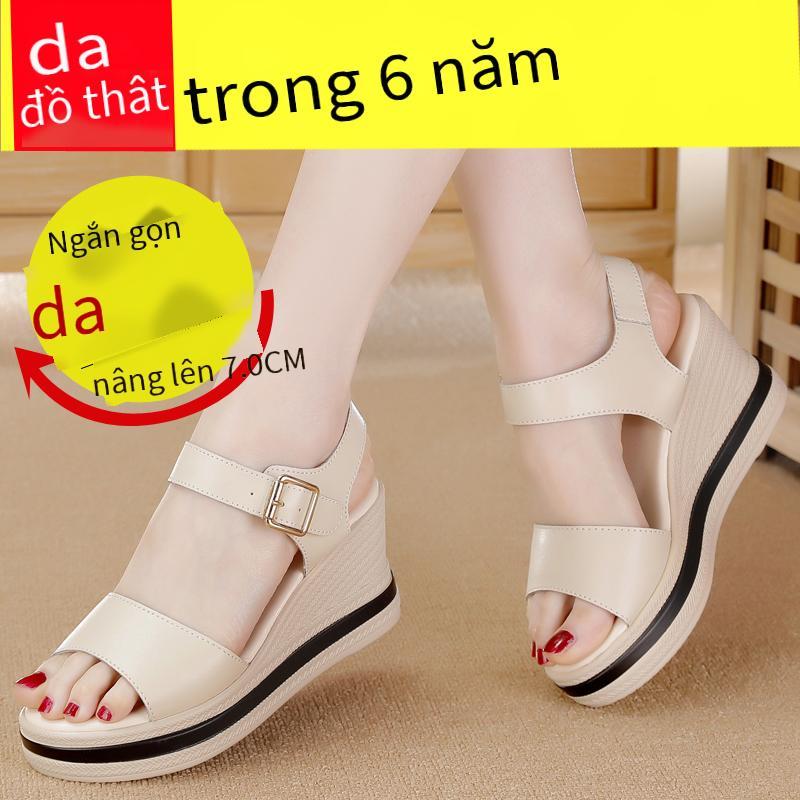 Ưu đãi đặc biệt giày nữ cỡ lớn giày nữ ngoài trời giá rẻ nhất giày lười giày công sở mới
