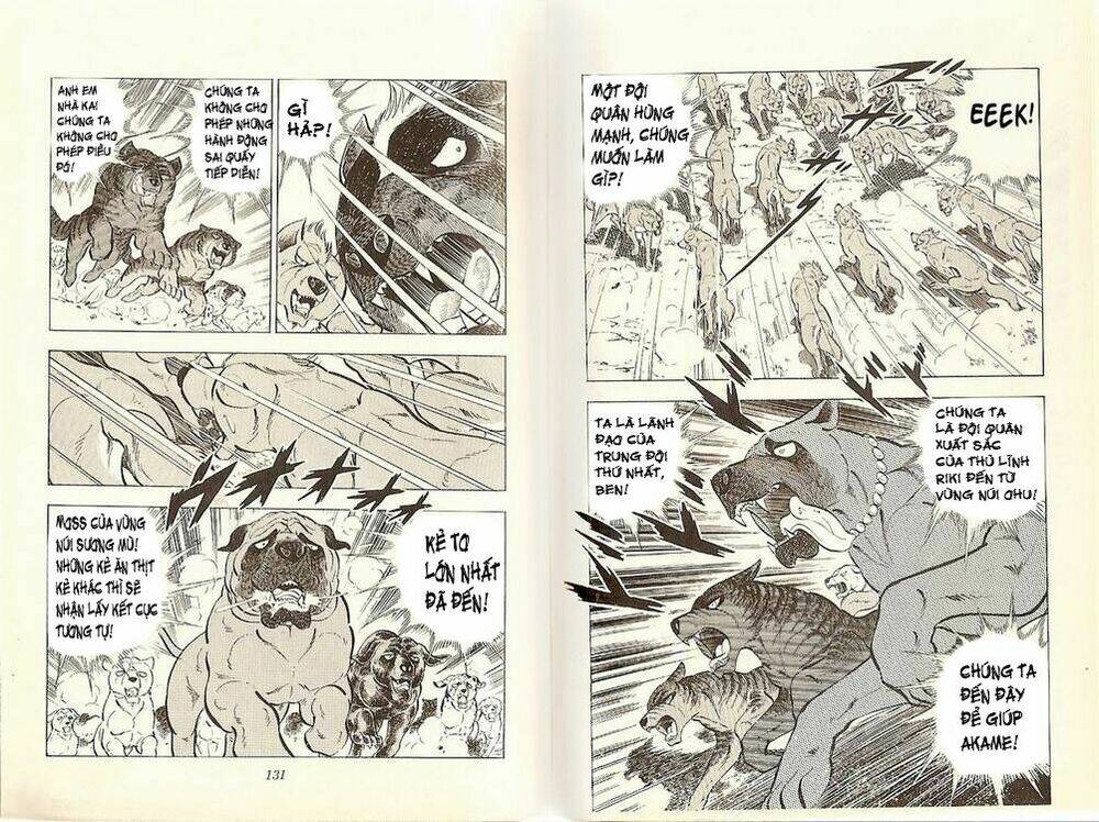 chú chó có nghĩa - ginga nagareboshi gin chapter 20 14