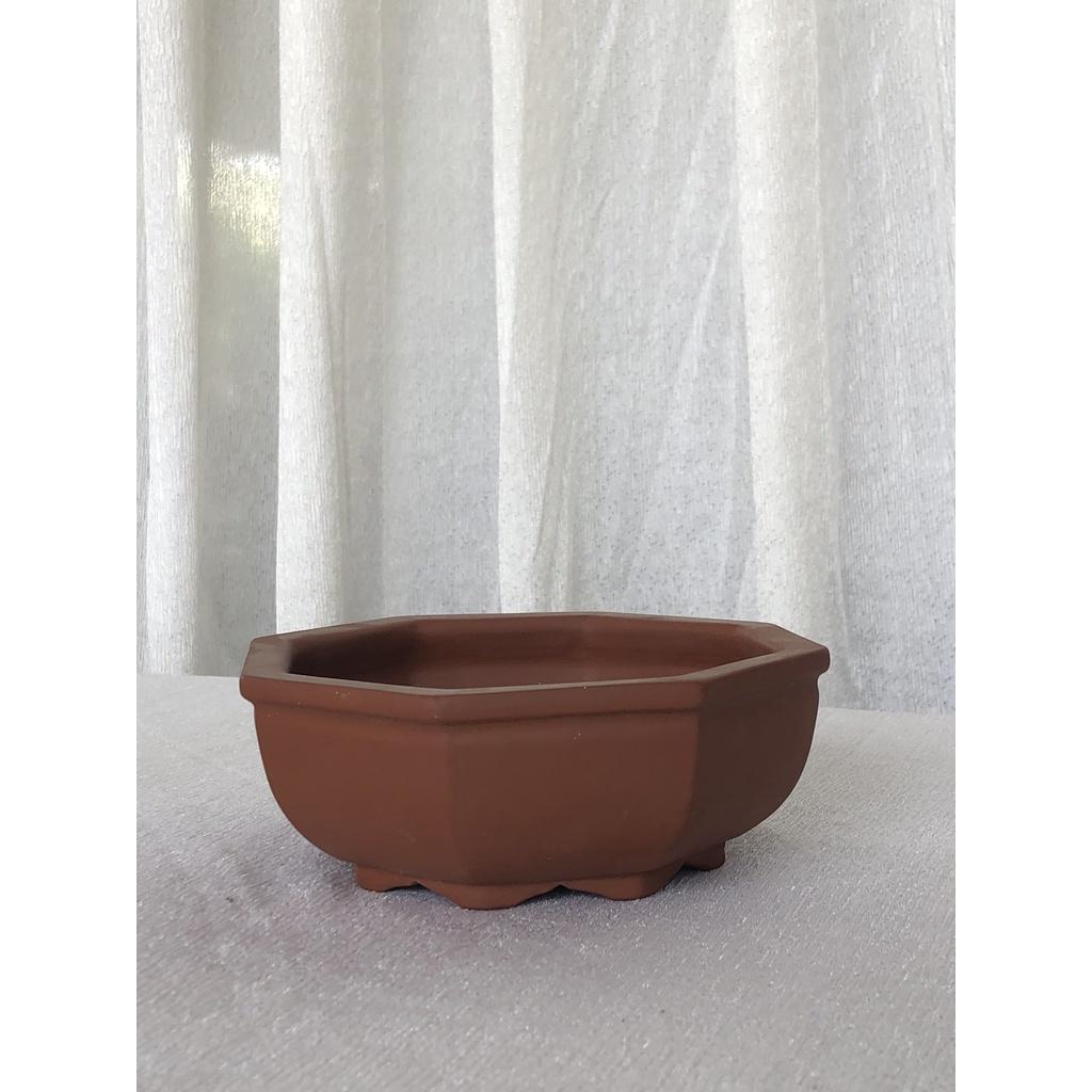 Bộ chậu lục giác mini màu ngẫu nhiên nâu, đen CK28 trồng hoa, cây cảnh để bàn, cây bonsai mini