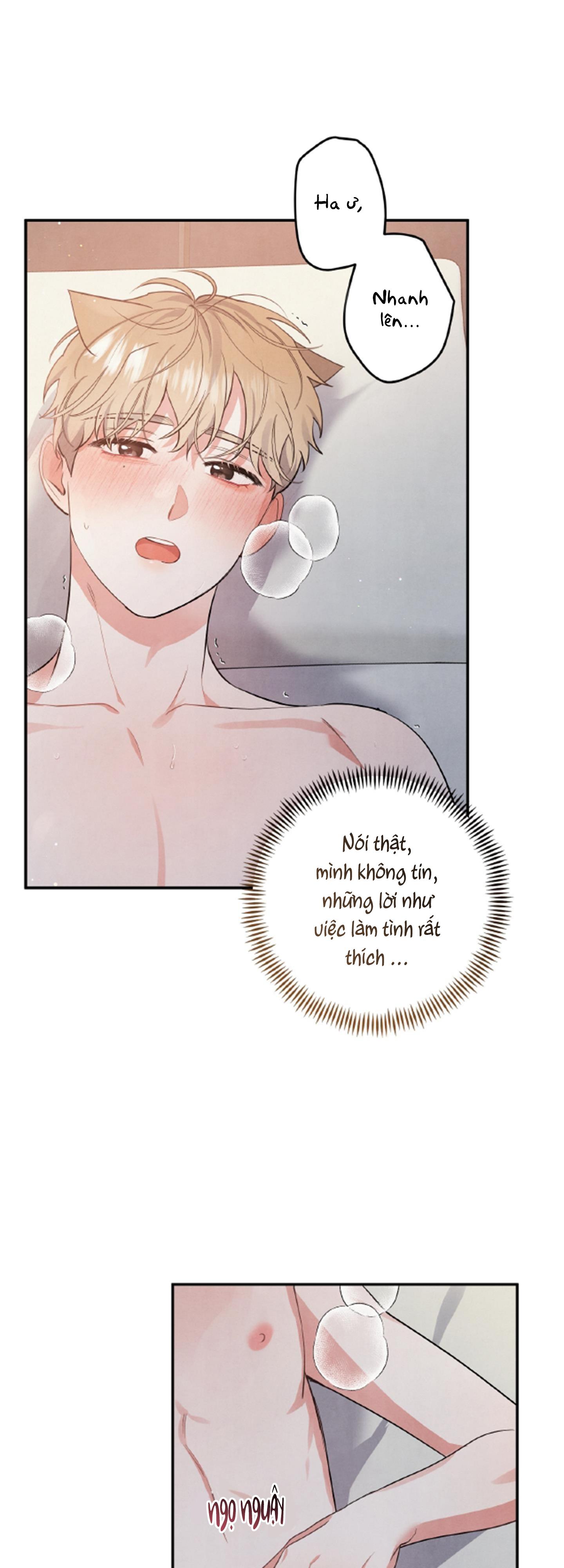 mối quan hệ ngu ngốc chapter 48 4