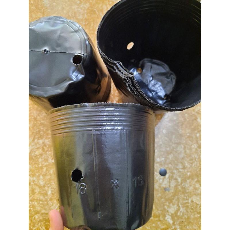 1kg chậu nhựa dẻo ươm cây 18x16