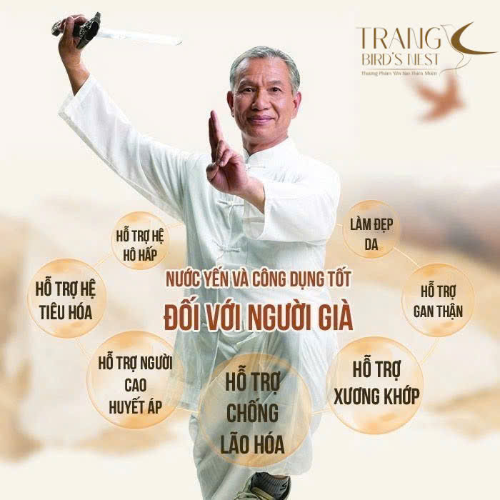 [ BEST SALES] Tổ Yến Chưng Đường Phèn Cao Cấp 6 Hũ - Tăng Sức Đề Kháng - Tăng Hệ Miễn Dịch - Tăng Cường Sức Khỏe - Trang Bird Nest