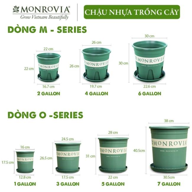 Chậu Nhựa Trồng Cây MONROVIA (Kèm Đĩa Lót) Cao Cấp, Chính Hãng VTNN Nông Điền Trang