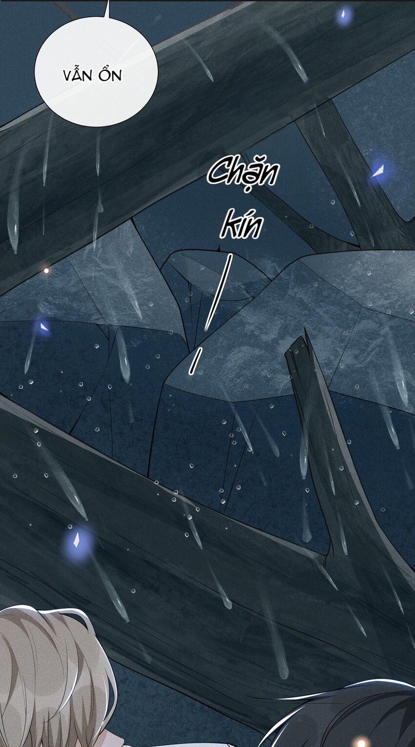 kiếp sau không gặp chapter 66 13