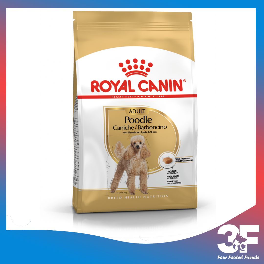 Thức Ăn Cho Chó Royal Canin Poodle Adult Chó Trưởng Thành