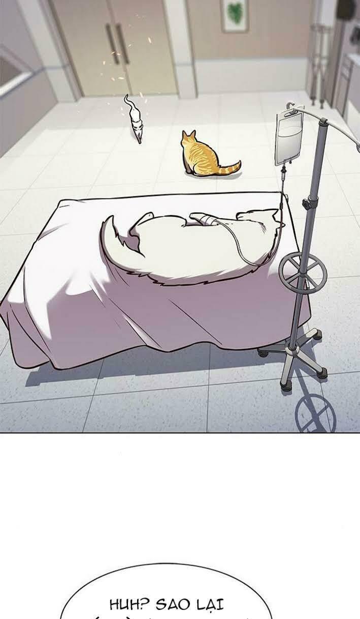 biến thân thành mèo chapter 166 9