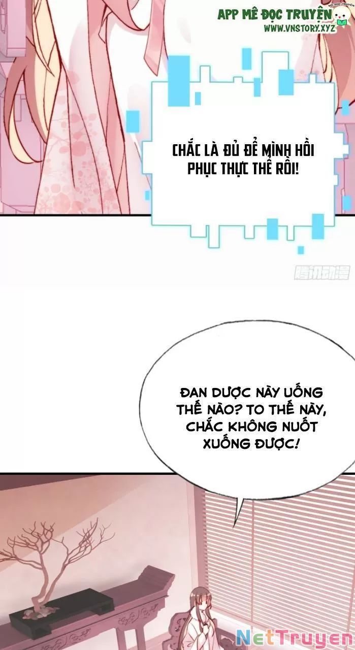 lại bị bệnh chiều chuộng quấn lấy chapter 31 5