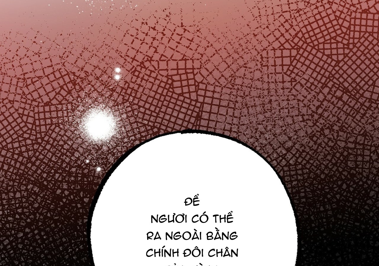 đàn thỏ của habibi chapter 21 275