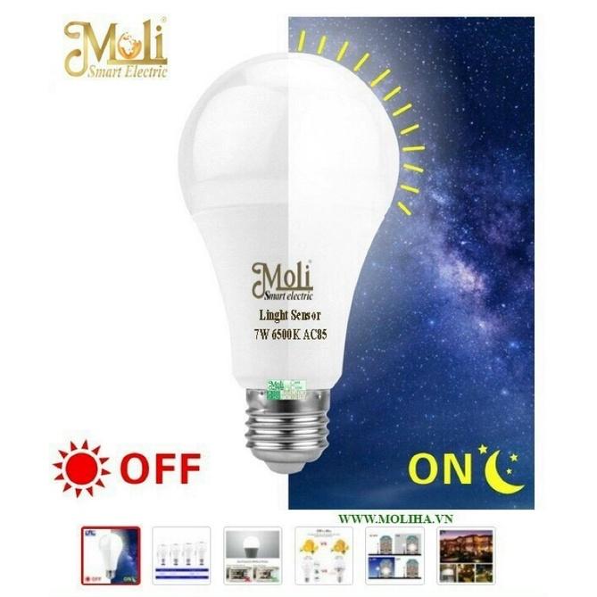 ĐÈN LED CẢM ỨNG ÁNH SÁNG MOLI