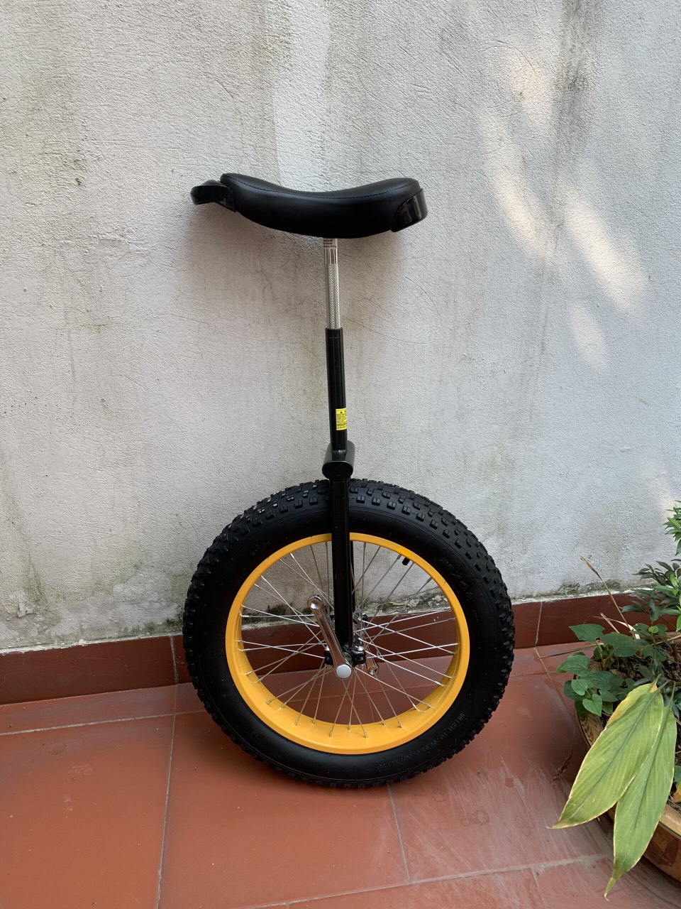 Unicycle - Xe đạp 1 bánh siêu to