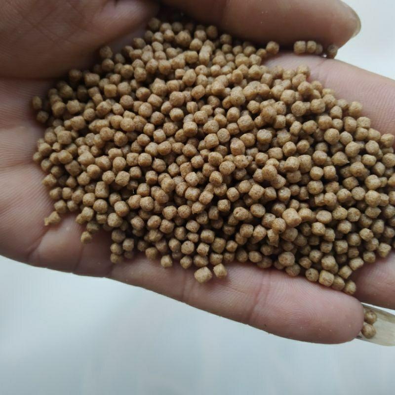 1KG Cám cá NEW STELLA vàng thơm không còn nặng