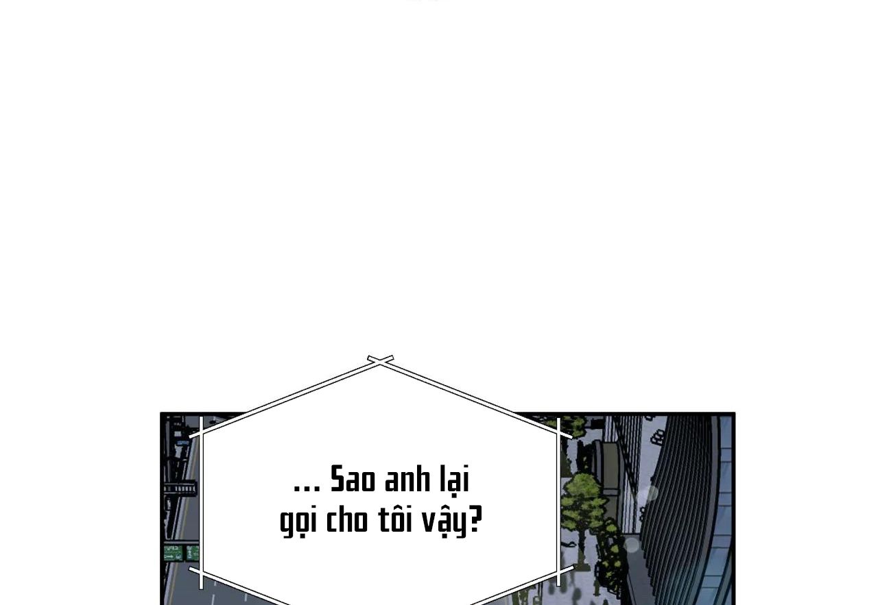 ám ảnh pheromone chapter 43 15