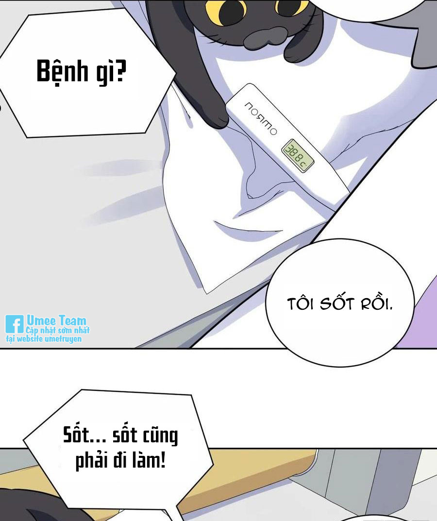 bố vợ đại nhân là bà xã chapter 203 37