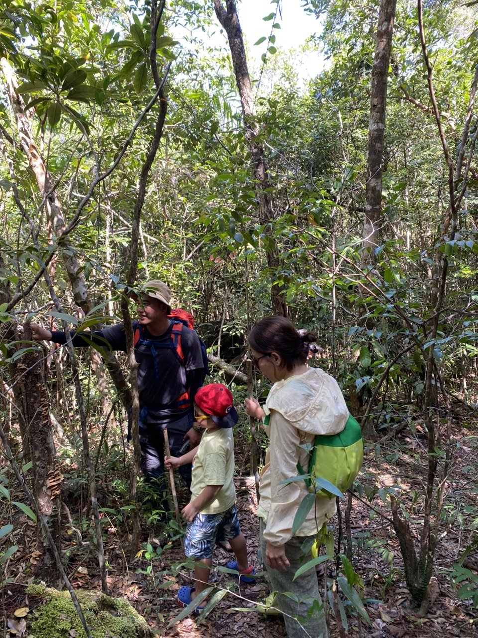 T14. TREKKING RỪNG MỘT NGÀY TÌM VỀ THIÊN NHIÊN NƠI HOANG DÃ - PHÚ QUỐC