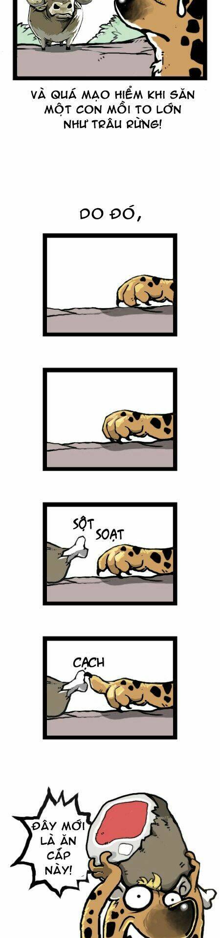 earth, human, and animal chapter 16 9