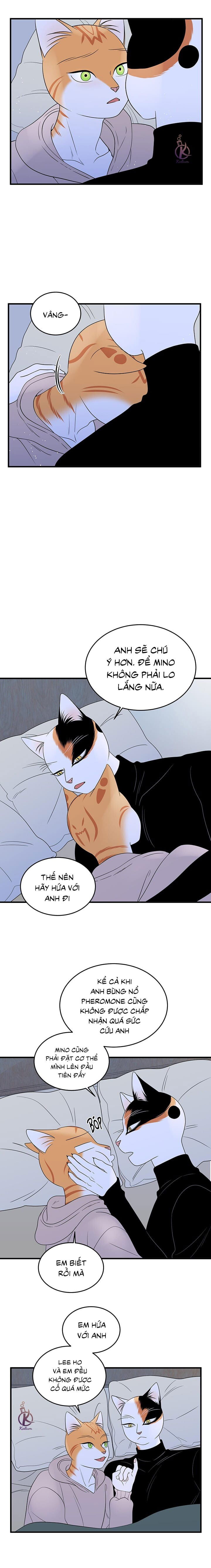 dự án xanh chapter 40 7