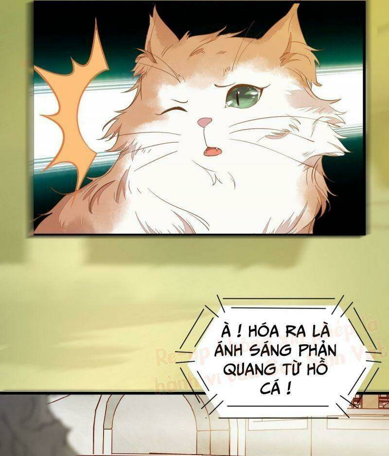 sát thủ vương phi không dễ chọc chapter 37 12