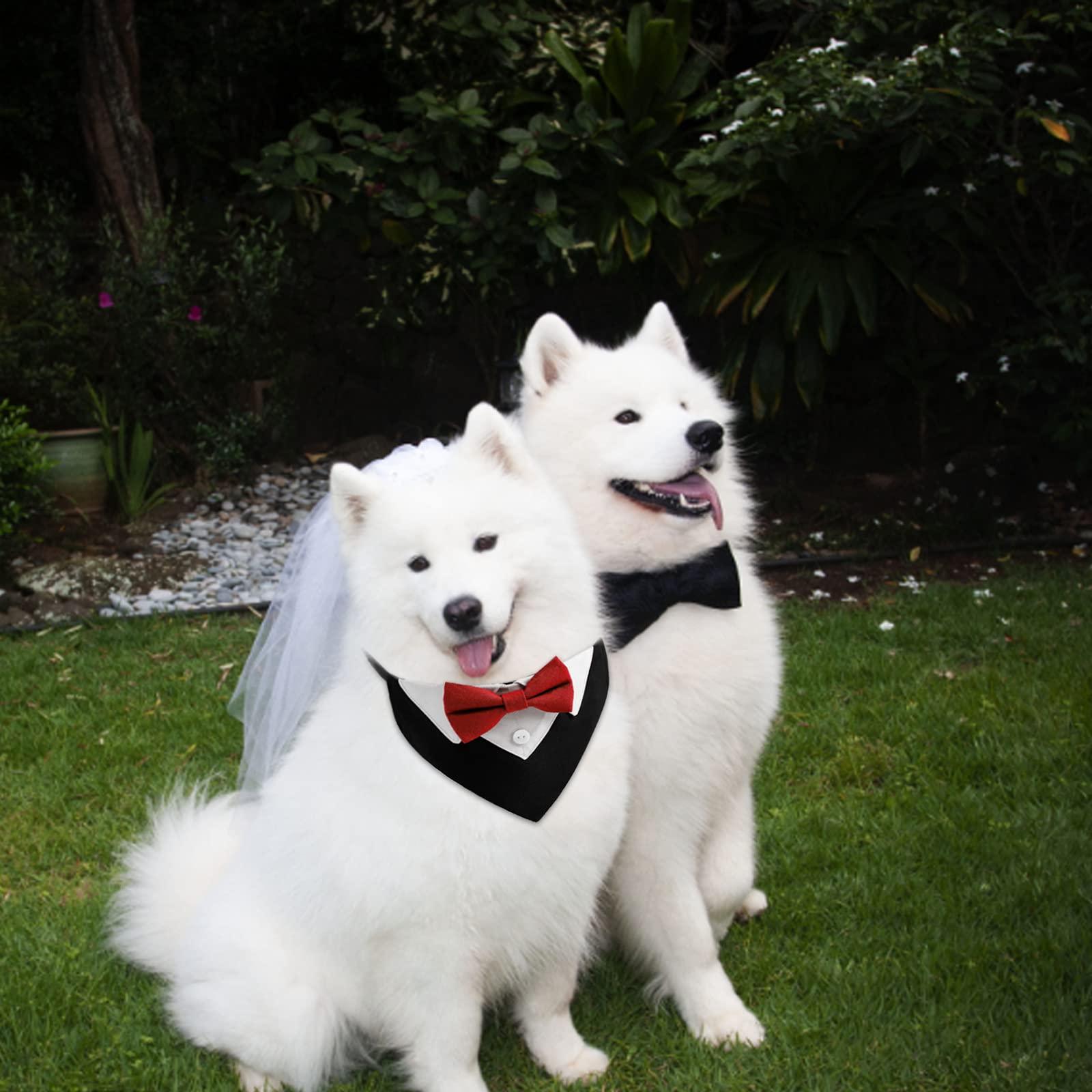 Banda hút thuốc chính thức, 1 mảnh, chó đỏ, bông, cổ áo chó, cổ áo cưới với ruồi và cổ áo cho chó và mèo, m