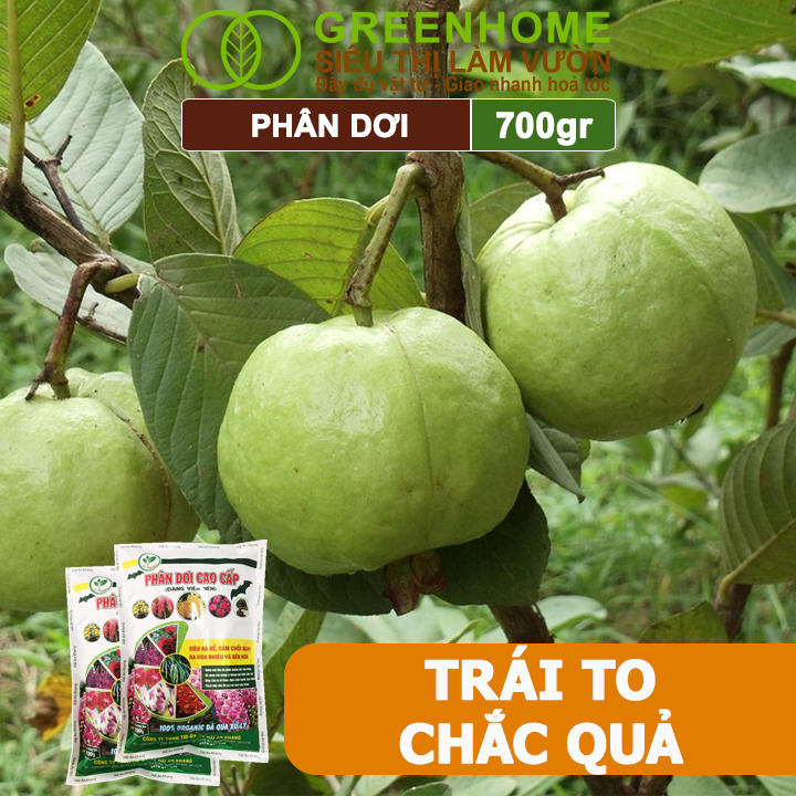 Phân Dơi Greenhome, Bao 700gr, Viên Nén, Đã Qua Xử Lý, Ra Rễ Mạnh, Hoa Nhiều, Tốt Cho Lan, Kiểng, Rau, Cây Ăn Trái