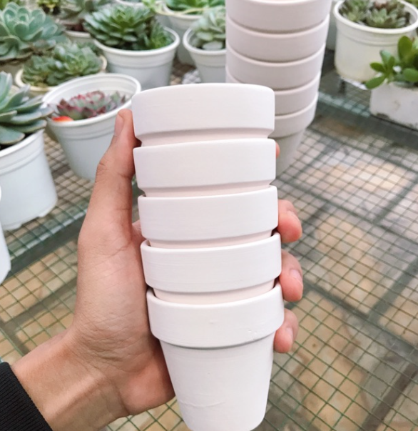 CHẬU ĐẤT NUNG BÁT TRÀNG TRỒNG SEN ĐÁ, XƯƠNG RỒNG