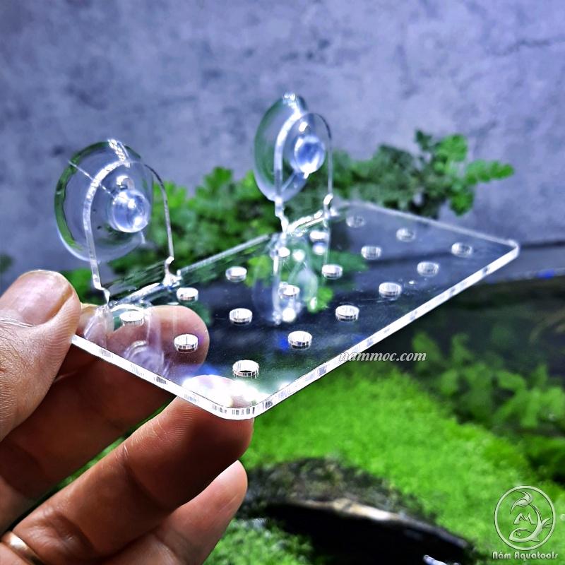 Tấm Nâng Acrylic / Giá Đỡ Giá Thể Ươm Ráy, Bucep - Đỡ Vĩ Ươm Rêu Hít Thành Kính