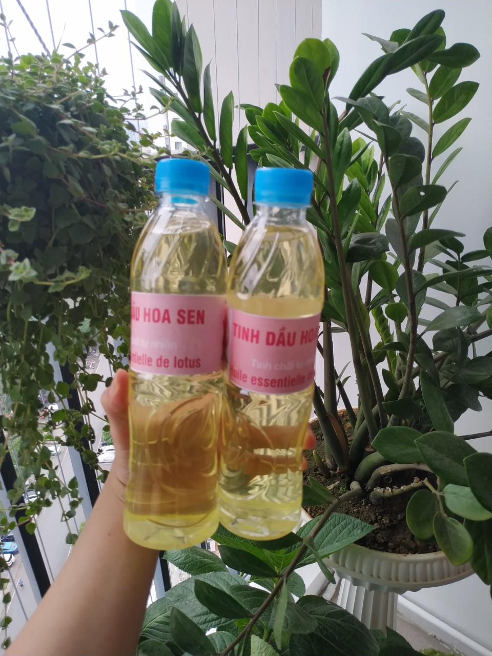 Tinh dầu Sen lau ban thờ, chai 500ml