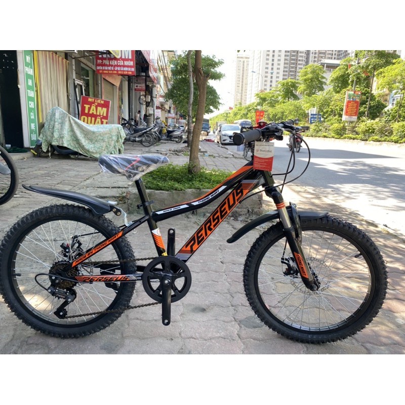 Xe Đạp Trẻ Em Dành Cho Bé Trai Thống Nhất Mtb 20-04