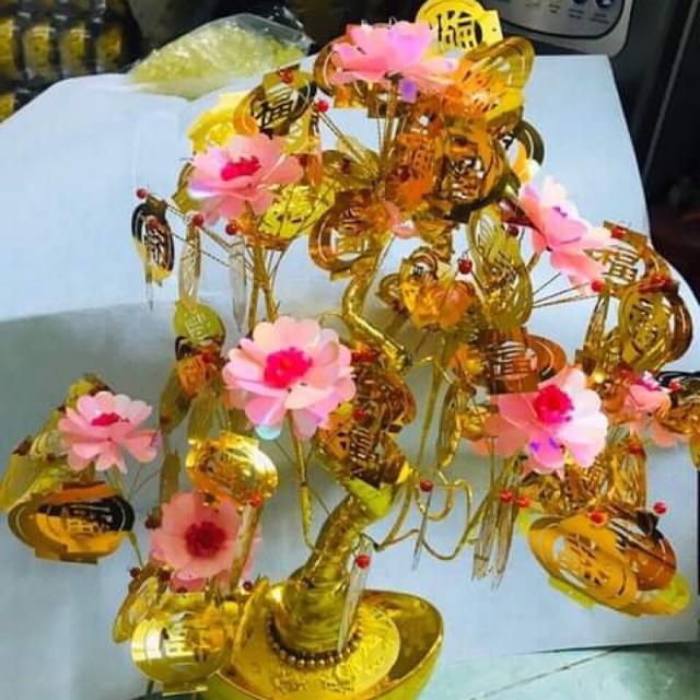 Cây hoa tài lộc mẫu đơn hồng 40-45cm phk shop