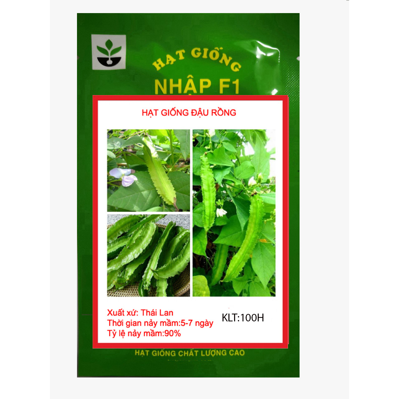 GÓI 100 HẠT GIỐNG ĐẬU RỒNG