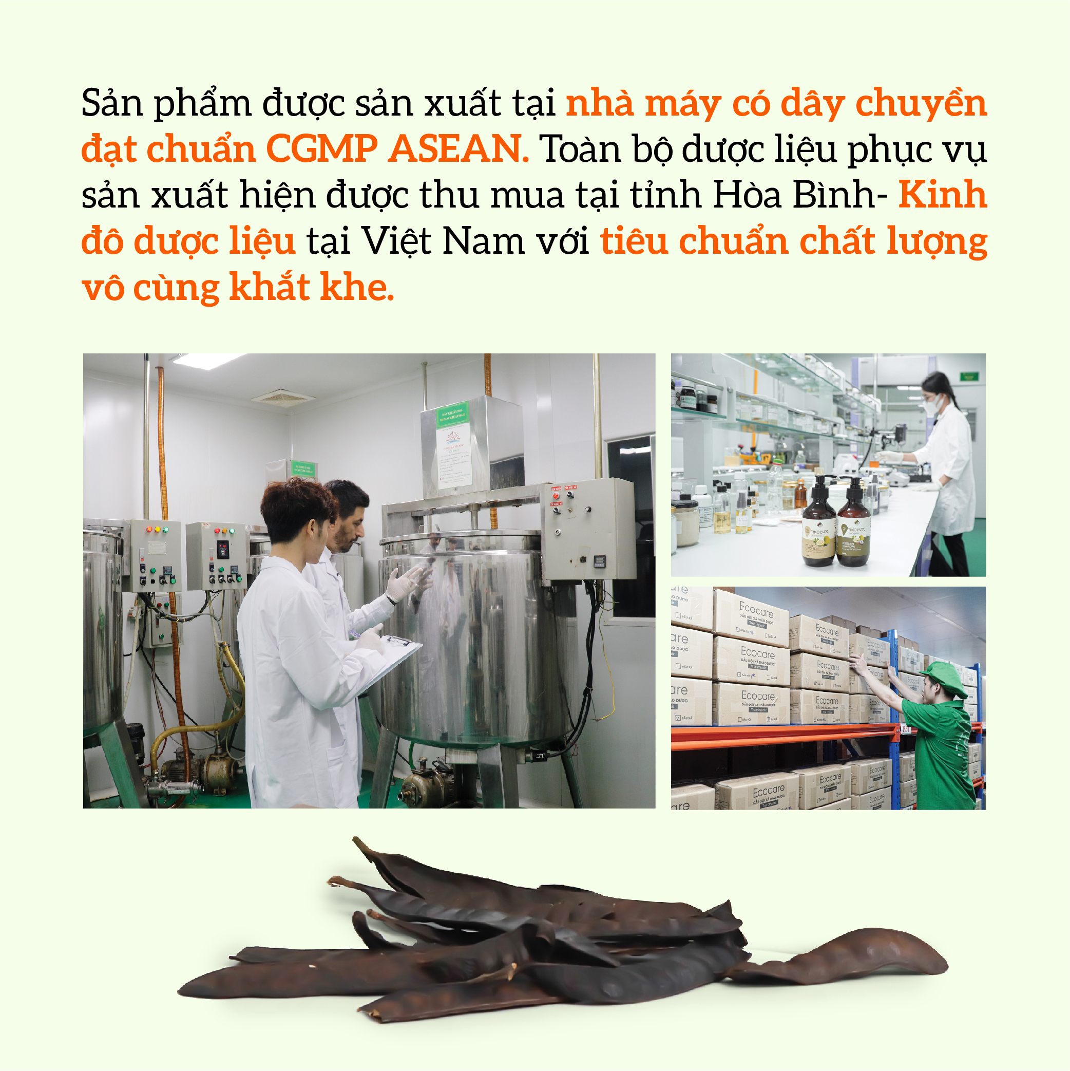 Dầu gội thảo dược sạch gàu, giảm xơ rối ECOCARE PREMIUM 300ml đạt chuẩn CGMP, dầu gội xả thiên nhiên