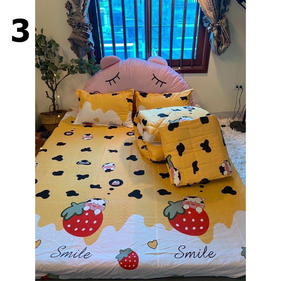 Bộ chăn ga gối vải cotton poly 5 món chăn chần phao loại có ruột bông dày