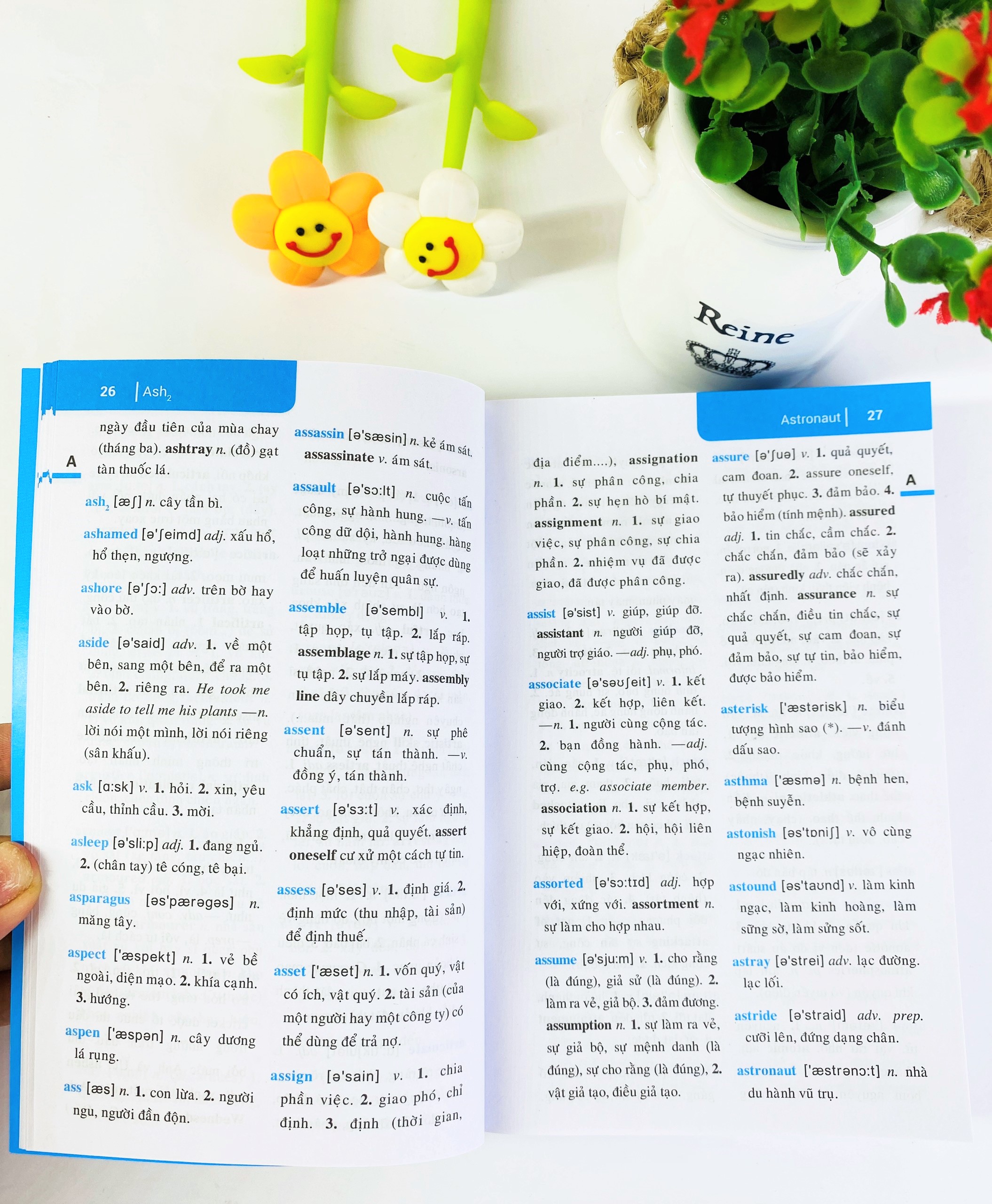 NDB - Từ điển anh việt 30.000 từ - ảnh 7