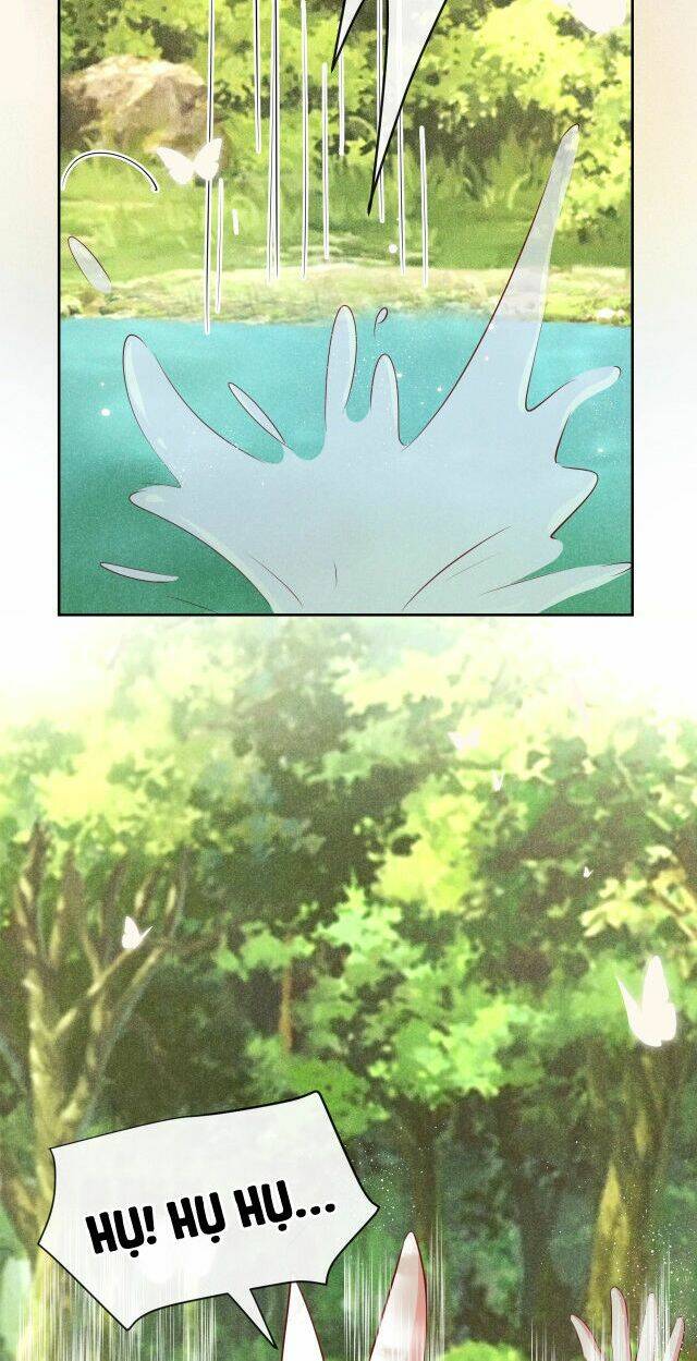 hắc hóa nam chính trực tuyến nuôi thỏ chapter 22 5