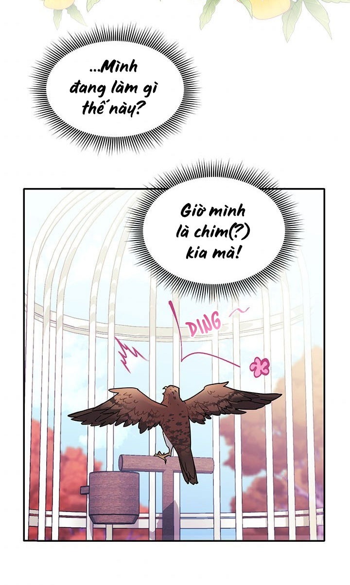 công chúa của loài chim chapter 2 4