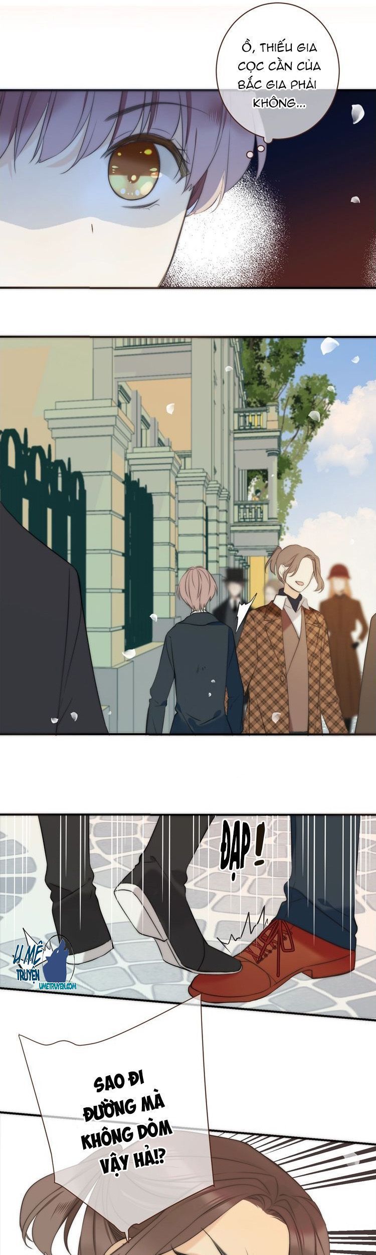 lại gặp nhau rồi, lâu tiểu thư chapter 1 39