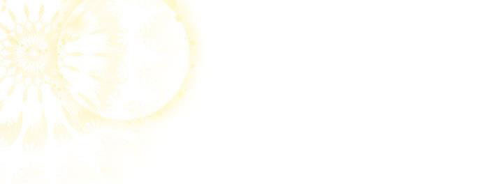 công chúa của loài chim chapter 51.1 251