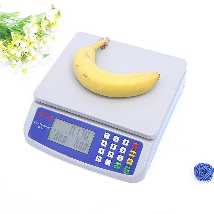Cân điện tử tính tiền 30kg/1g DT-580