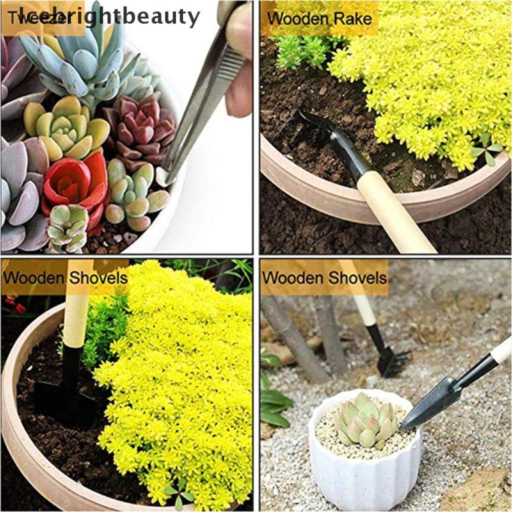 Icebrightbeauty 20pcs/set Garden Planter Kit Succulent Planting DIY Transplant Gardening Tools VN