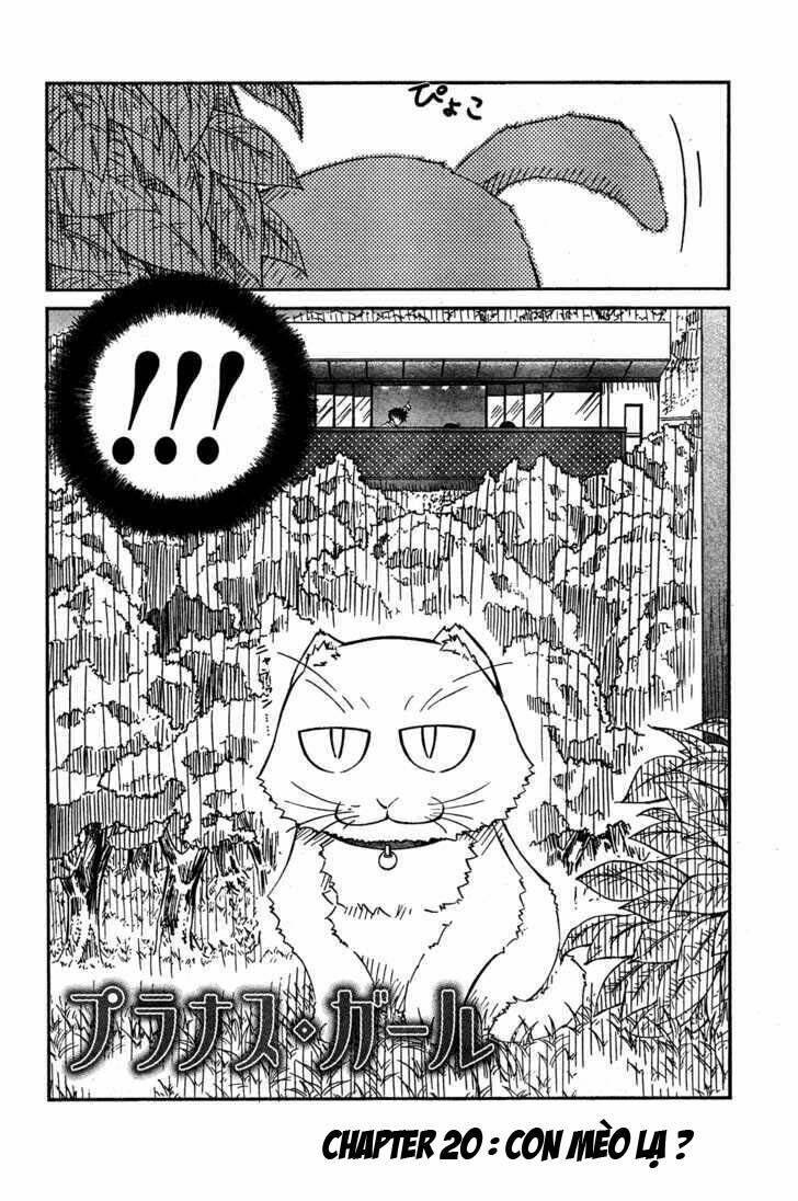 prunus girl chapter 20 3