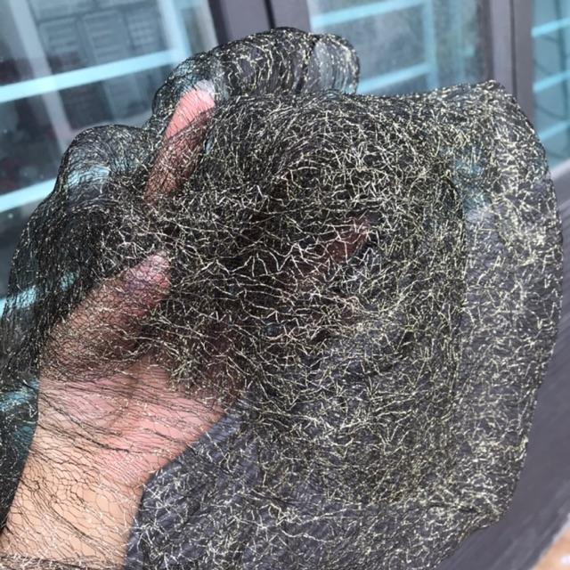 Lưới chụp ảnh