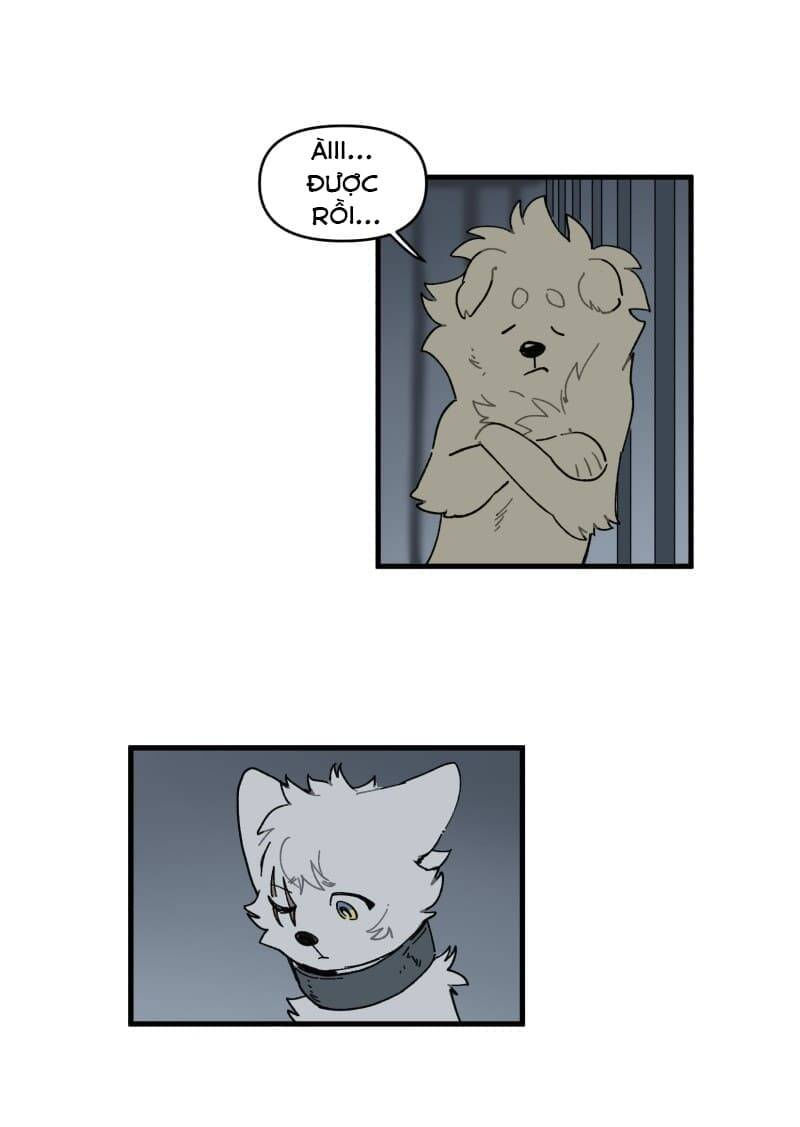 lumine - cội nguồn ánh sáng chapter 145 34