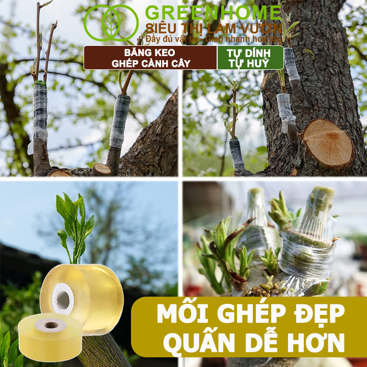 Keo Ghép Cành Greenhome, Dụng cụ làm vườn, Bảo Vệ Mối Ghép Nhanh Liền, Tự Dính, Tự Huỷ, Dễ Sử Dụng