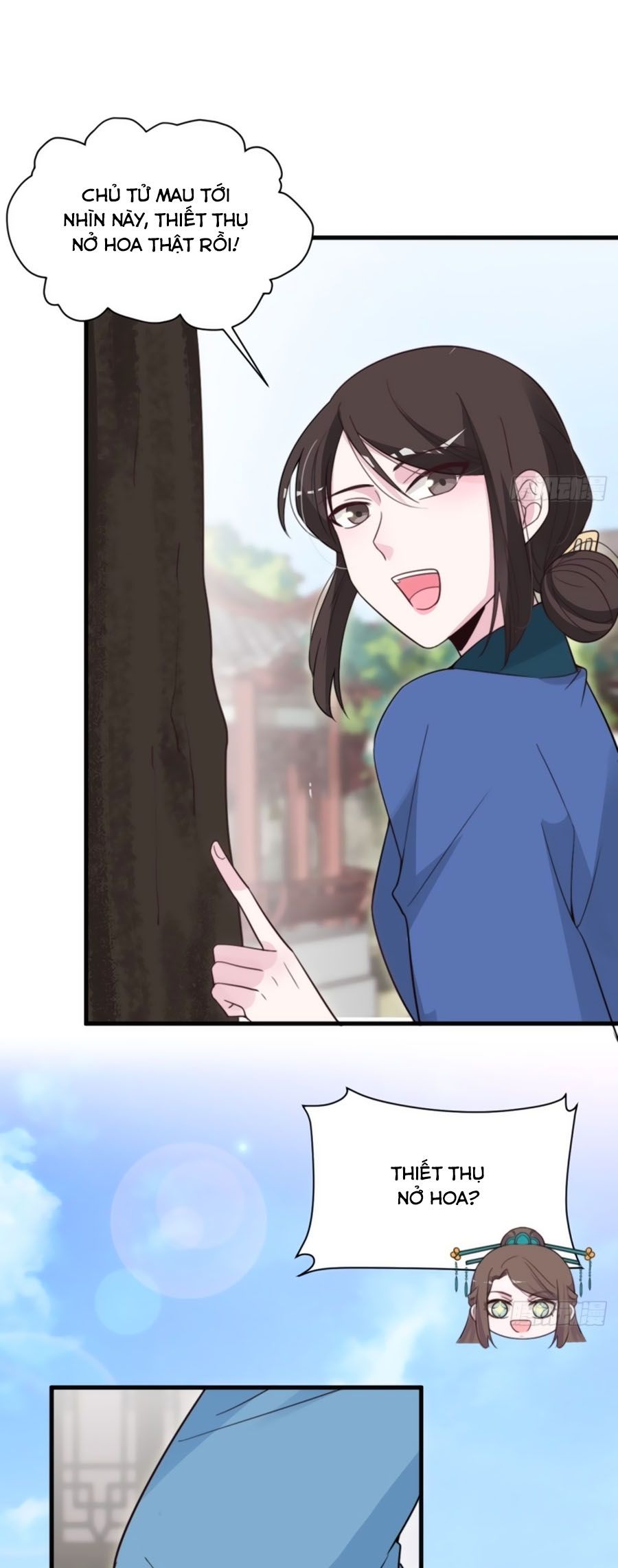 cung đấu live chapter 44 17