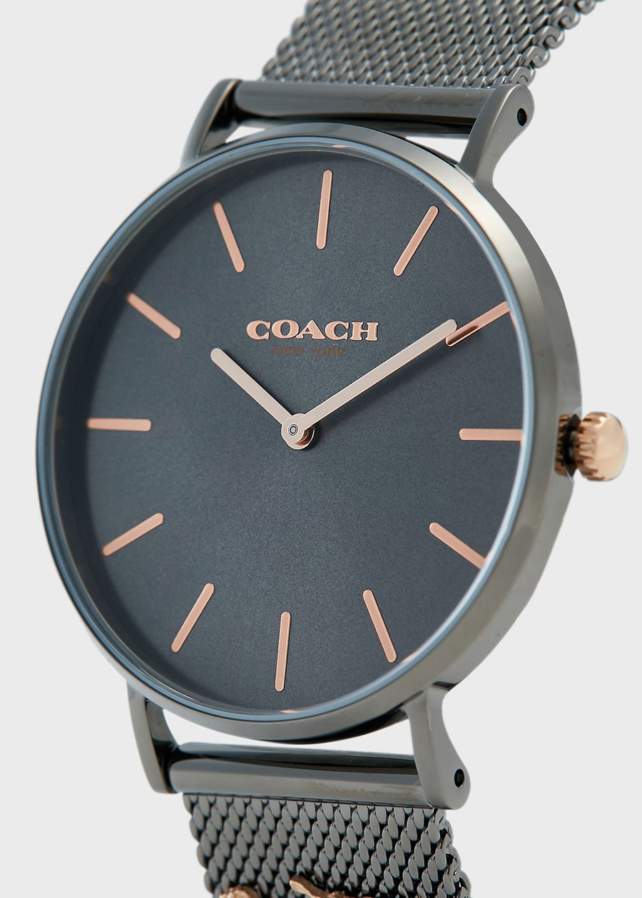 Đồng Hồ Coach Nữ Dây Lưới 36mm